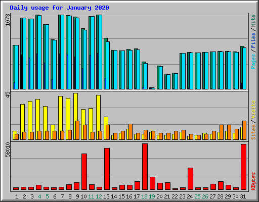 Daily usage for January 2020