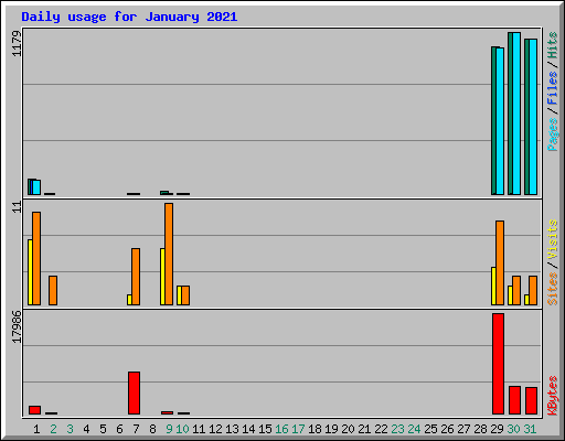 Daily usage for January 2021