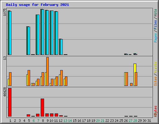 Daily usage for February 2021