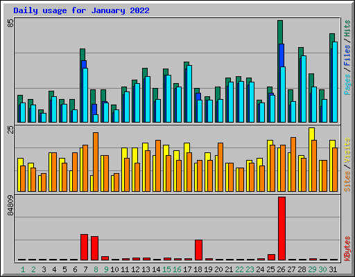 Daily usage for January 2022