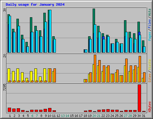 Daily usage for January 2024