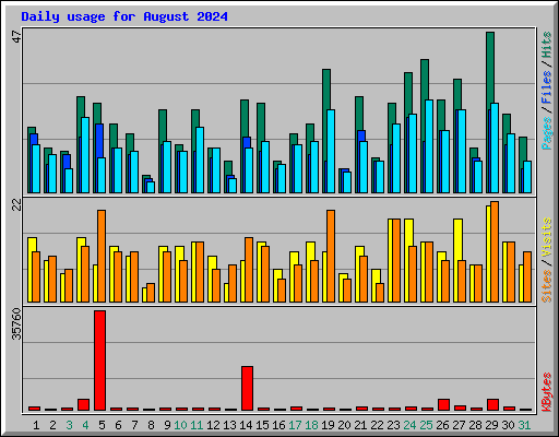 Daily usage for August 2024
