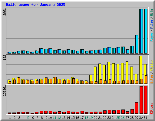 Daily usage for January 2025