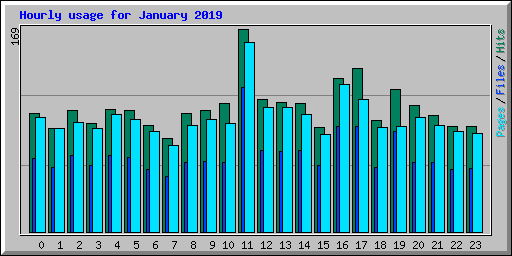 Hourly usage for January 2019