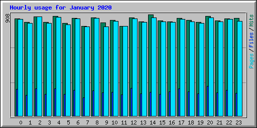 Hourly usage for January 2020