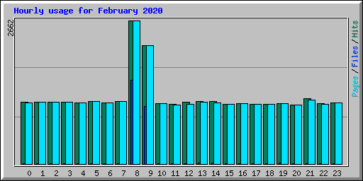 Hourly usage for February 2020