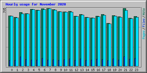 Hourly usage for November 2020