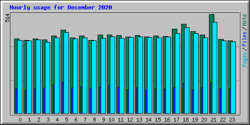 Hourly usage for December 2020