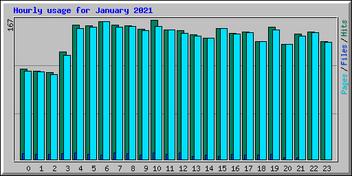 Hourly usage for January 2021
