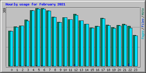 Hourly usage for February 2021