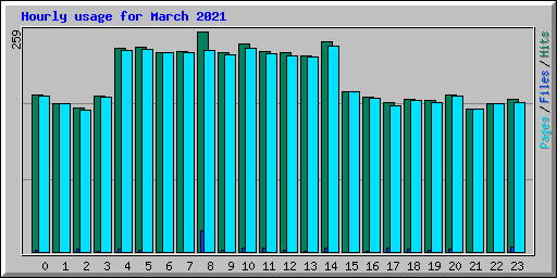Hourly usage for March 2021