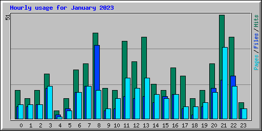 Hourly usage for January 2023