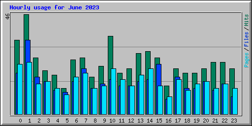 Hourly usage for June 2023