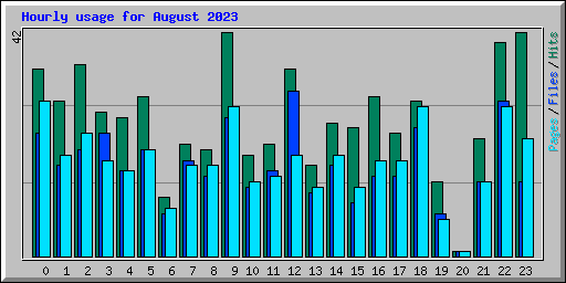 Hourly usage for August 2023