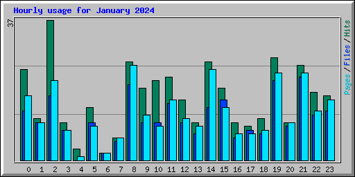 Hourly usage for January 2024