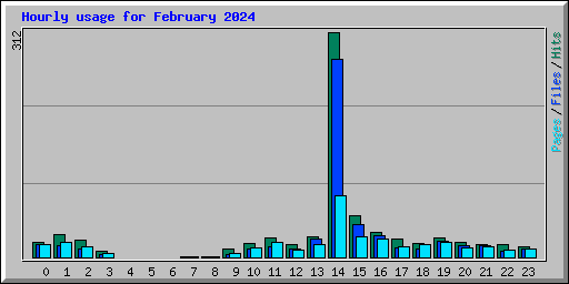 Hourly usage for February 2024