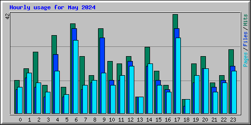 Hourly usage for May 2024
