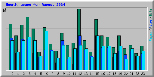 Hourly usage for August 2024