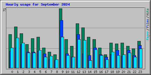 Hourly usage for September 2024
