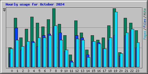 Hourly usage for October 2024
