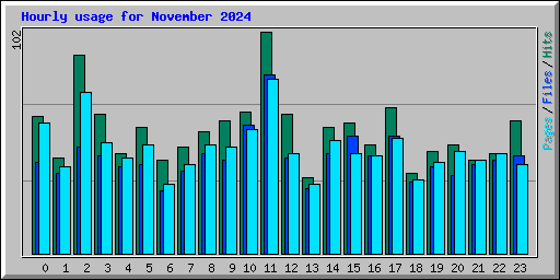 Hourly usage for November 2024