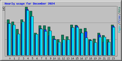 Hourly usage for December 2024