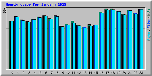 Hourly usage for January 2025
