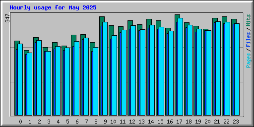 Hourly usage for May 2025