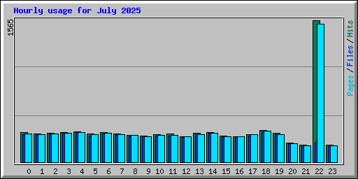 Hourly usage for July 2025