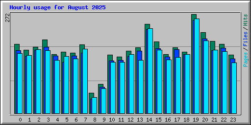 Hourly usage for August 2025