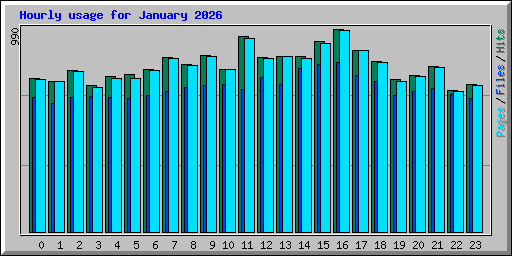 Hourly usage for January 2026